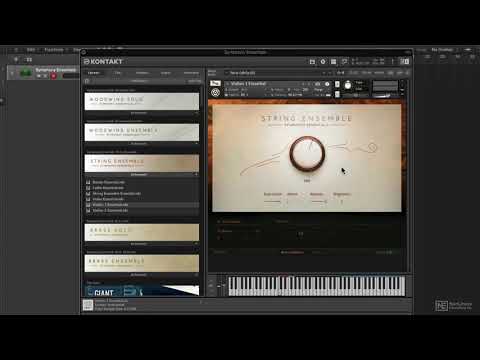 Symphony Essentials 101: Symphony Essentials Explored - 10. String Ensemble