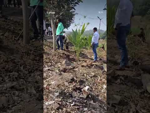 शनिवार श्रमदान