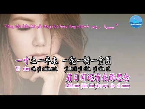 Đào Hoa Nặc [桃花诺] – Đặng Tử Kỳ [邓紫棋] (Karaoke - KTV)