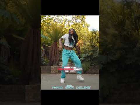 A- Star - Baako Riddim feat Bisa Kdei (Official Dance Tutorial by The A.A Dancers)
