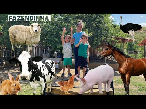 VISITAMOS UMA FAZENDA DE VERDADE!
