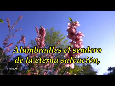 562 Esparcid la luz de Cristo