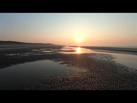 Vorsicht Streithähne | Tägliche Andacht | 29.5.2021