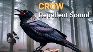 Download lagu Crow Repellent Sound | Anti Crow Ultrasonic sound Effect (HQ) mp3