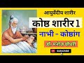 Koshtha Sharira Koshthanga Nabhi Ayurvedeeya Sharira Dr Manoj Chaudhari 29 09 2020