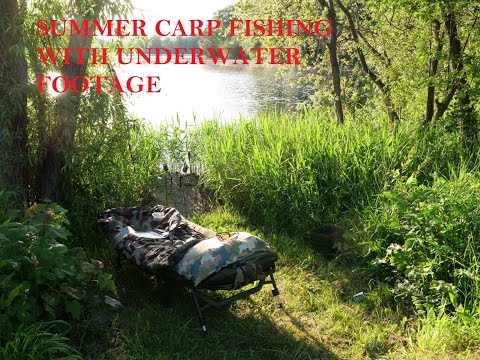 `Above and below with Monster Carp