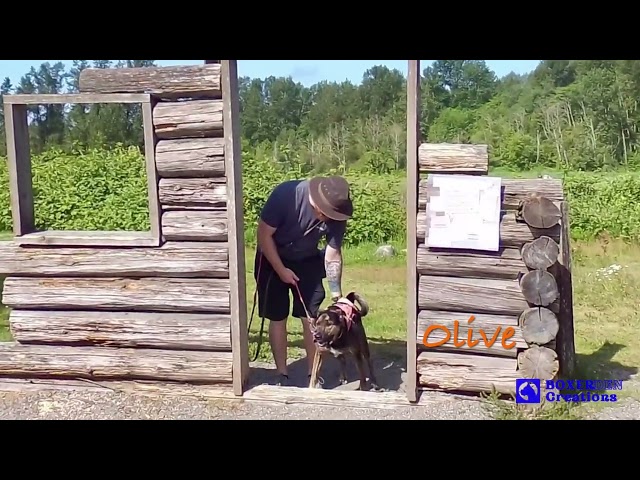 Judge.me YouTube video placeholder