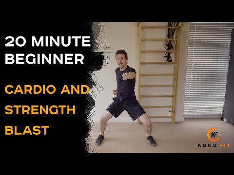 20 Minute Full Body Beginners Home Workout- Kung Fu Inspired- No Equipment