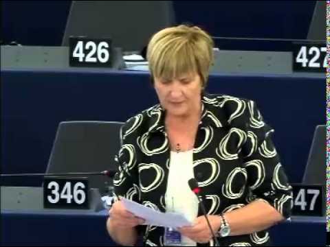 Stanje u Makedoniji - 20.05.2015.