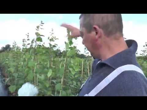 Gärtner Sönke - Folge 12: Container-Büsche