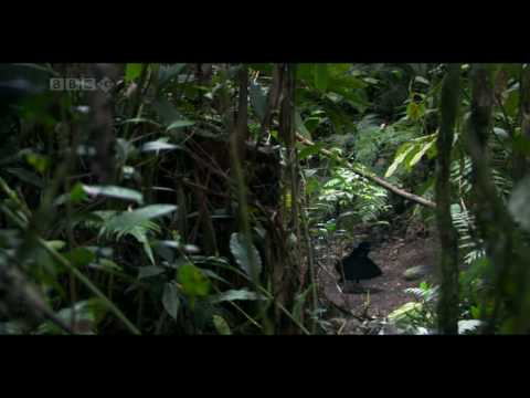 Marc Romboy   The Beat feat  Chelonis R Jones