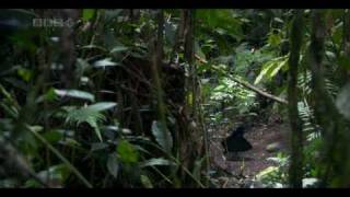 Marc Romboy   The Beat feat  Chelonis R Jones