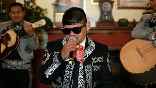 LOS CAZAHUATES - MARÍN VELASCO (EN VIVO)