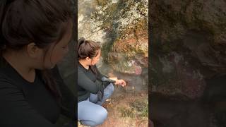 Download lagu Boil eggs directly in the sulfur smoke hole on the mountain mp3