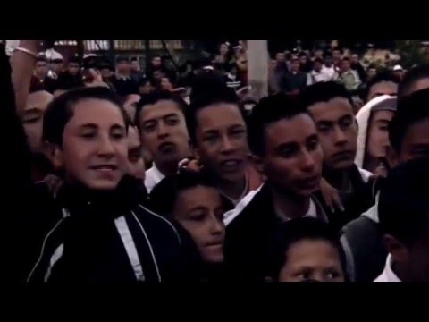 Mas Que Real Cejaz Negras