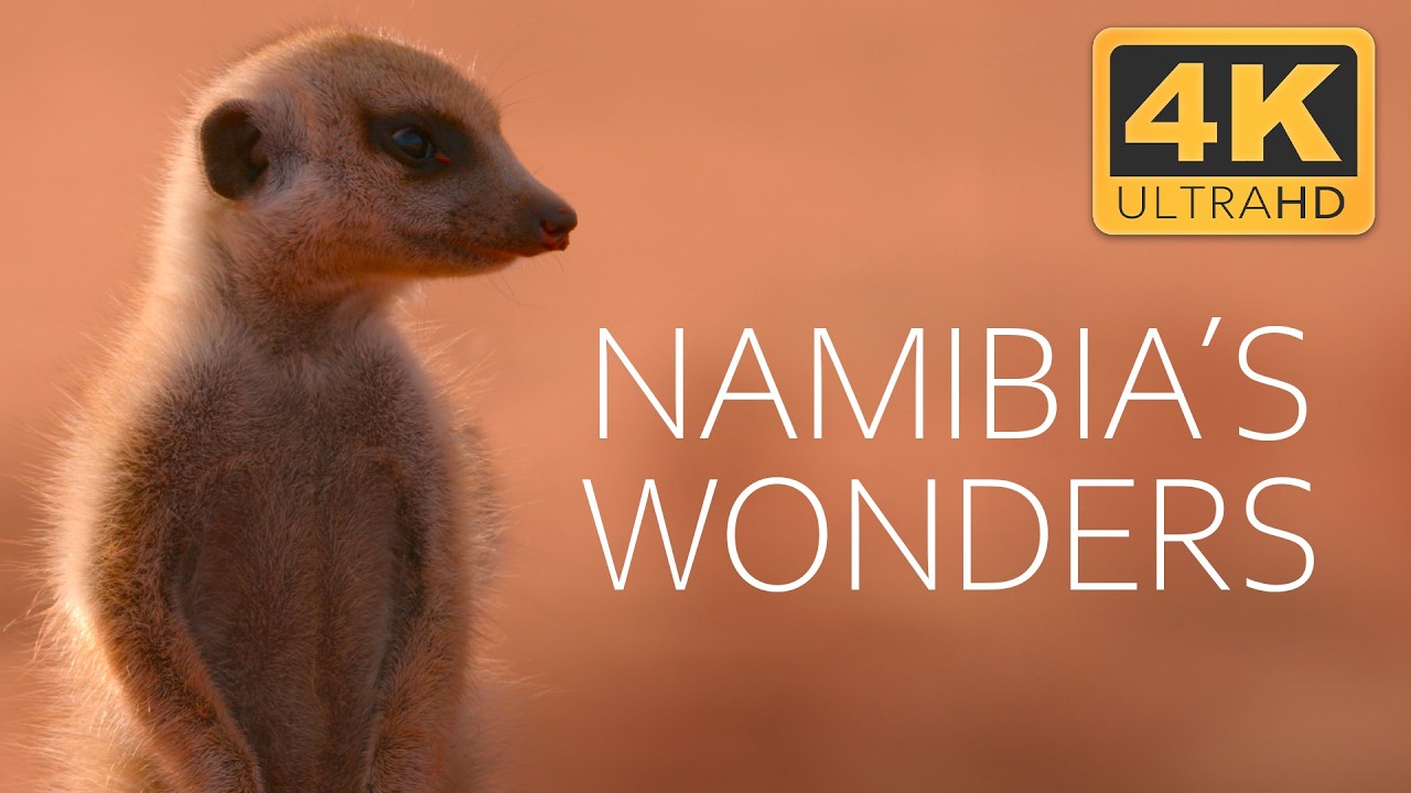 From Dry Savannahs to Wide River Landscapes | 4K UHD Documentary