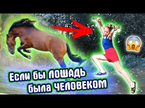 Что если ЛОШАДЬ была бы ЧЕЛОВЕКОМ? / Конный скетч