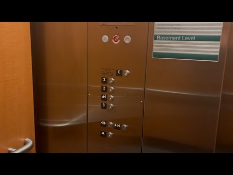 Loud Motor! Schindler 330A Elevator at Ives Hall South at Cornell University