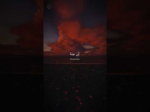 The beauty of Existence ✨ #nasheed #shorts