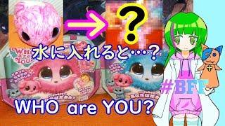 【WHO are YOU?】ワタシのBFF！謎の毛玉の正体とは…？【フーアーユー】