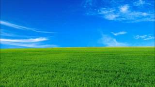 This Providence - My Beautiful Rescue