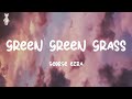 Green Green Grass George Ezra Lyrics