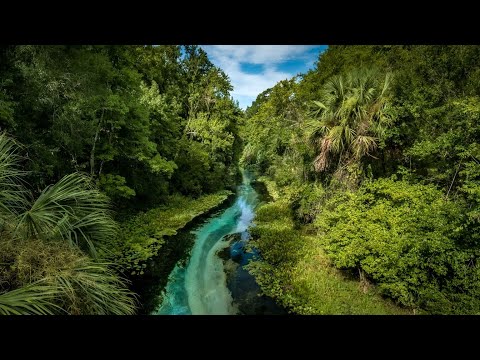 Aerial Imaging Services of Central Florida, LLC video.