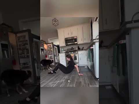 Верный пёс спас хозяйку, почувствовав приступ заранее!
