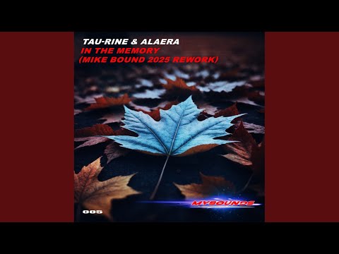 In The Memory (Mike Bound 2025 Rework)