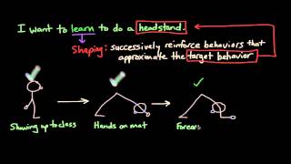 Operant Conditioning: Shaping