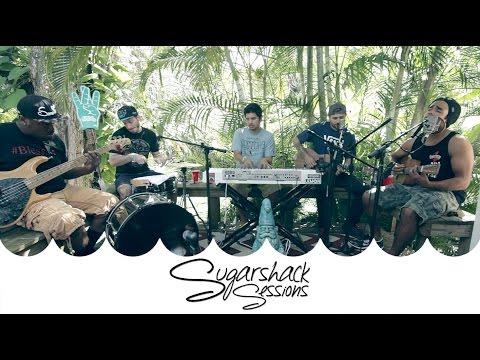 Through the Roots - On This Vibe (Live Music) | Sugarshack Sessions