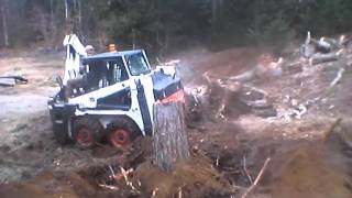 Bobcat 709 backhoe digging stump