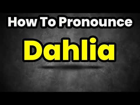 How To Pronounce Dahlia? (CORRECTLY) Meaning & Pronunciation