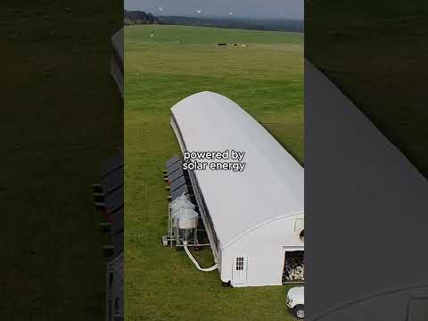 The Future of Chicken Farming: Mobile Chicken Coops