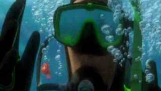 Finding Nemo Last Time He Saw Dorie