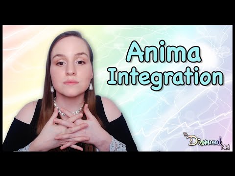 Anima Integration Explained | How to Integrate the Anima