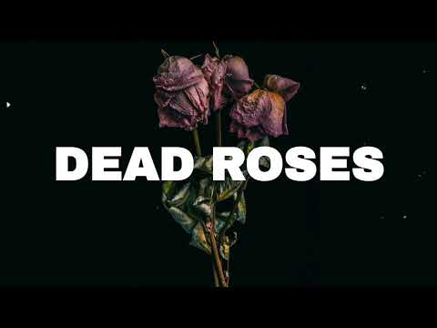FREE Sad Type Beat - "Dead Roses" | Emotional Rap Piano Instrumental