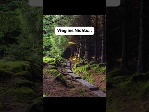 Die gruseligsten Dinge die im Wald gefunden wurden…😨 #shorts