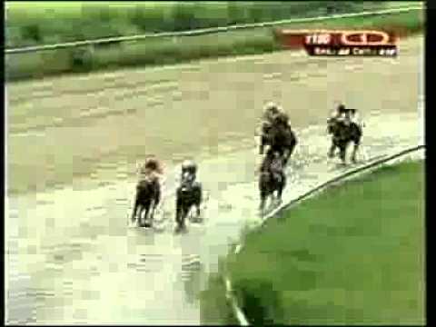 1era Carrera Viernes 08 Agosto Valencia