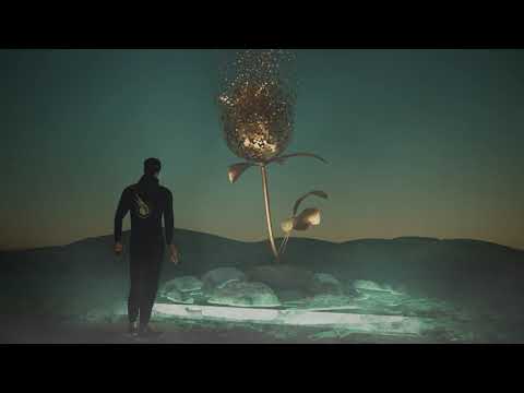 Ace Tyto - Fading Like a Flower (feat. Danielle Hollobaugh)