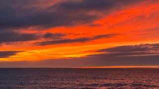 The Seaside Chronicles – Week 8 – Truth