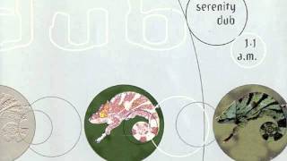 Asian Dub Foundation - Tu meri.m4v