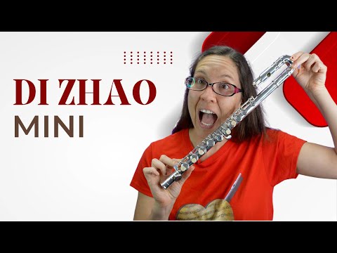 Di Zhao Mini Review