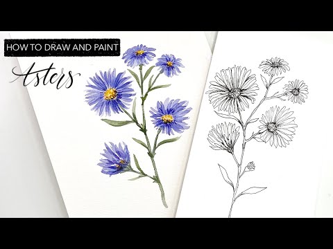 Watercolour Asters - How To Draw And Paint SEPTEMBER'S Birth Month Flower