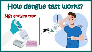 Dengue test | NS1 antigen test for Dengue | Dengue IgM &amp; IgG antibody test | How Dengue test works