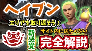 【VALORANT】モロトフOPすぎる...攻防プリセット解説ゲッコー/アセント【ヴァロラント】