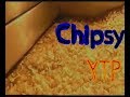 Fries Production YTP