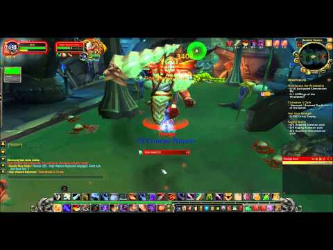 BT - Rogue Solo High Warlord Naj'entus