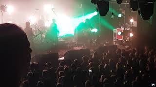 Selig - Sie hat geschrien