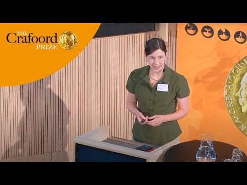 Hybrid speciation and genome stabilization in Passer sparrows